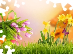 Easter, Daffodils, Tulips, eggs