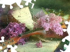 Tunes, Rain, lilac, instrument, Twigs