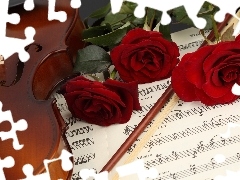 Tunes, roses, instrument, musical, violin
