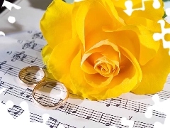 Yellow, rings, Tunes, roses