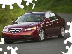 Cherry, driver, turn, Acura TL