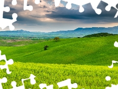 woods, medows, Tuscany, Italy, horizon, Mountains