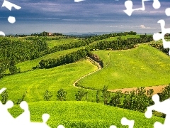 Tuscany, Italy, medows, woods, Way