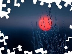 Twigs, Red, moon