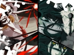 Ulquiorra, Fight, Ichigo