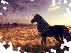 west, cereals, unicorn, sun