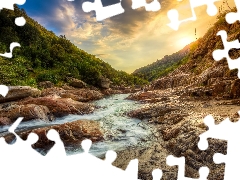 Kaweah River, California, trees, Sequoia National Park, The United States, rocks, viewes