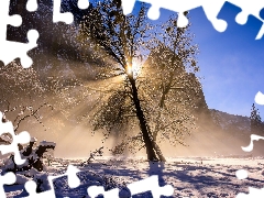 snow, winter, Mountains, trees, California, The United States, sun, Yosemite National Park, light breaking through sky