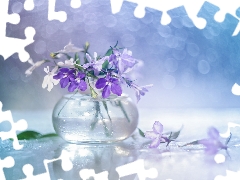 vase, Bokeh, lobelia, Flowers, decoration