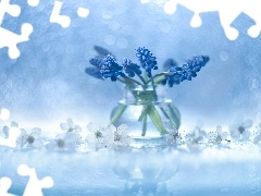 Blue, decoration, vase, Bokeh, Flowers, Muscari