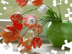 vase, Tulips, Green