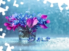 Siberian squill, decoration, vase, Bokeh, Flowers, Cyclamen