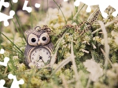 Clock, VEGETATION