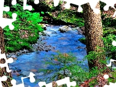 mountainous, Stones, VEGETATION, stream