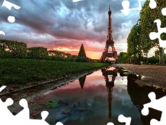 VEGETATION, puddle, tower, Eiffla, Paris