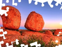 VEGETATION, Red, rocks