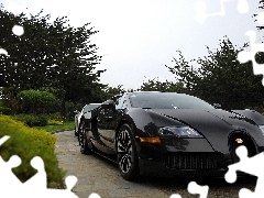 Black, Bugatti Veyron
