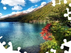 viewes, Argentina, Mountains, trees, lake