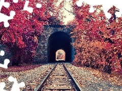 trees, ##, Leaf, railway, tunnel, viewes, autumn