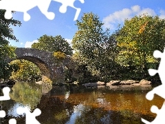 viewes, autumn, bridge, trees, River