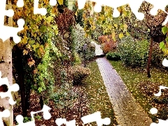 Leaf, Park, viewes, autumn, trees, Path