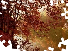 autumn, trees, viewes, River