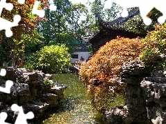 trees, Stones, Szanghai, water, Garden, viewes, China
