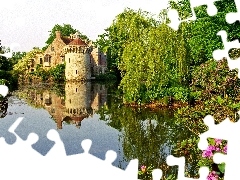 trees, lake, Kent, Flowers, Castle, viewes, England