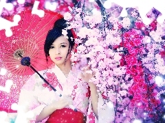 trees, Japanese, umbrella, flourishing, Women, viewes, Spring