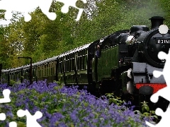 viewes, Flowers, locomotive, trees, Train