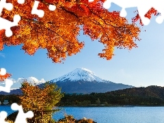 woods, Fuji, viewes, Japan, trees, lake