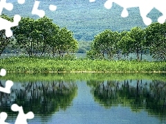 lake, trees, viewes, grass