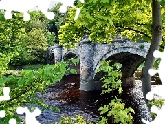 viewes, landscape, River, trees, bridge