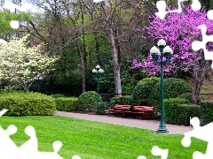 viewes, Lighthouse, flourishing, trees, Park