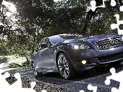 Infiniti M37, trees, viewes, Way