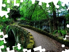 viewes, Moss, Path, trees, Park