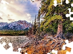 Mountains, trees, viewes, lake