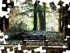 Park, trees, viewes, Bench