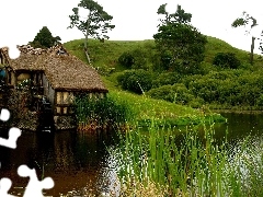 viewes, Plants, water, trees, Windmill