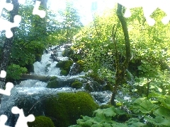 viewes, Plitvice, Stones, trees, waterfall