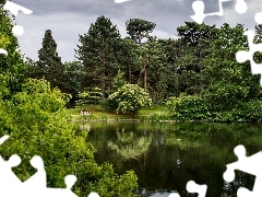 Park, trees, viewes, Pond - car