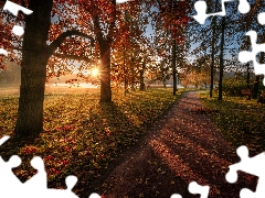 Park, trees, Path, St. Petersburg, Leaf, autumn, viewes, Russia, Tsarskoye Selo, rays of the Sun