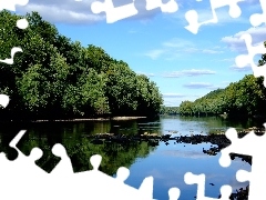 River, trees, viewes, Stones