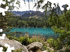 viewes, rocks, lake, trees, Mountains