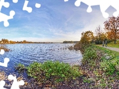 viewes, Sky, Park, trees, lake