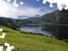 grass, lake, viewes, Sky, trees, Field