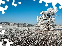 viewes, Sky, field, trees, winter