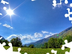 viewes, sun, Meadow, trees, Mountains