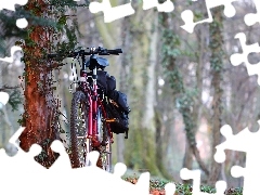 viewes, Bike, trees