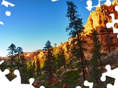 viewes, canyons, trees